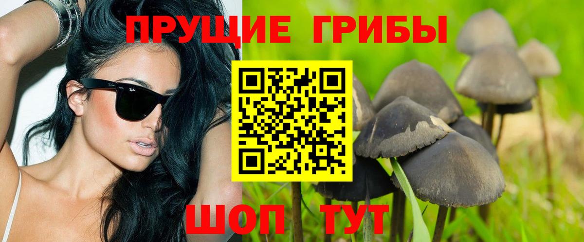 Alpha-PVP СК   Северск  Экстази  МАРИХУАНА  Где найти наркотики?  МЕФ   ГАШ  Вход с VPN 