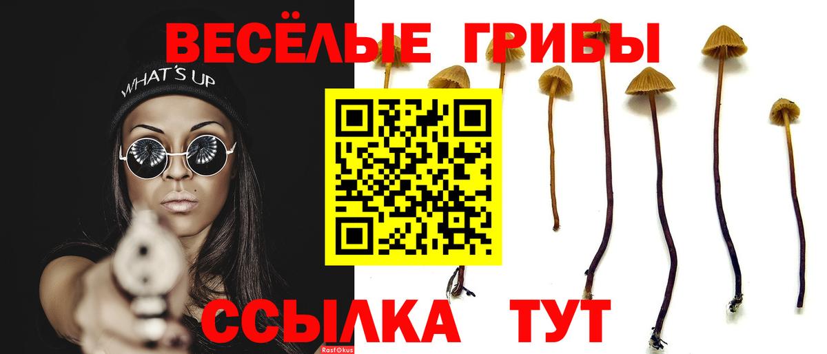 Галлюциногенные грибы прущие грибы Северск