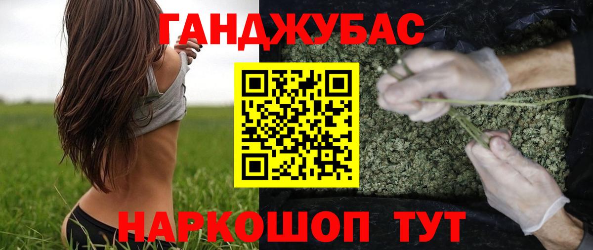 Шишки марихуана индика  Вход с VPN  Северск  Конопля ГИДРОПОН  Канабис White Widow 